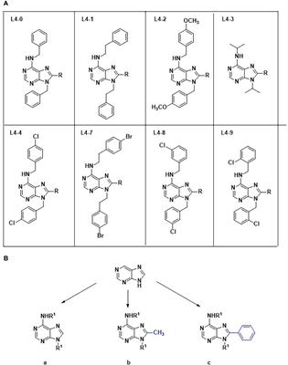 Identification of compounds with activity against Trypanosoma cruzi within a collection of synthetic nucleoside analogs